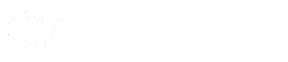 ALLEGHENY OPHTHALMIC & ORBITAL ASSOCIATES, PC. Logo